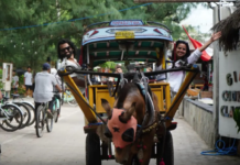 Kemenpar Gelar FAM Trip bagi KOL India Promosikan Bali dan Lombok