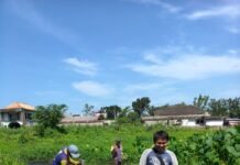Lurah Karyabaru Dorong Gotong Royong Jaga Kebersihan Sungai Pasca Normalisasi
