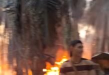 Diduga Menjadi Otak Ilegal Driling, POSE RI Akan Laporkan PT Hindoli Cargill Indonesia