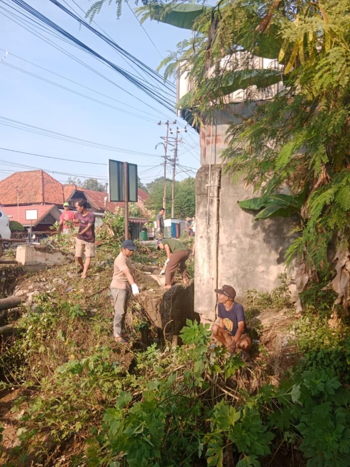 IMG-20251102-WA0040