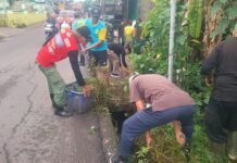 Selokan Lebih Lancar, Camat Sukarami Prioritaskan Pencegahan Banjir
