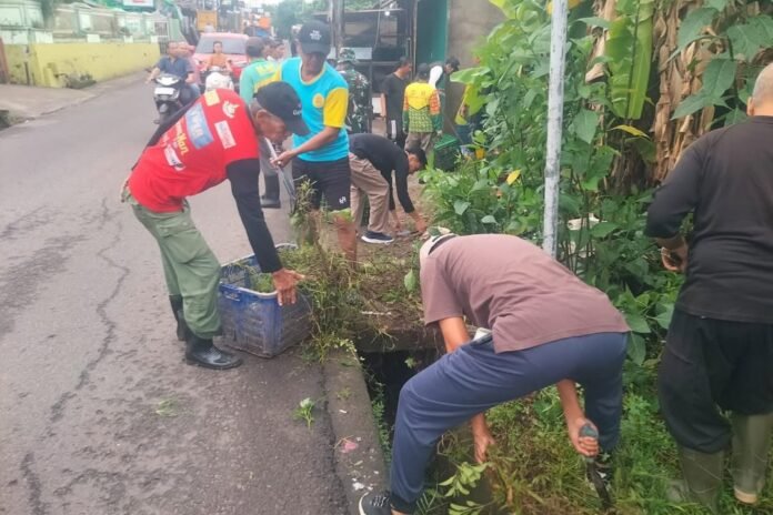 IMG_20251115_074134_333
