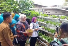Dorong Ketahanan Pangan, Camat Ilir Barat Satu Serahkan Bibit Ikan dan Tanaman di Lorok Pakjo