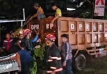 Camat Ilir Barat Satu Pastikan Jalan Demang Lebar Daun Kembali Lancar Usai Pohon Tumbang