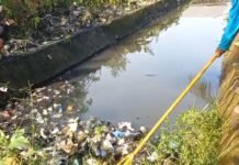Lurah Desi Anna Tegaskan Pentingnya Kepedulian Kolektif Jaga Lingkungan