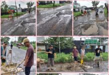 Inspirasi Pelayanan Cepat, Lurah Plajudarat Ubah Keluhan Warga Jadi Aksi Nyata Perbaikan Jalan Berlobang Tegal Binangun