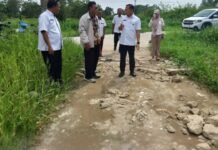 Sematang Borang Berbenah, Plt Camat Pastikan Kualitas Jalan di Sukamulya Memenuhi Standar