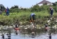 Pastikan Aliran Air Lancar, Camat Ilir Barat I Pimpin Langsung Normalisasi Drainase