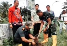 Sinergi TNI dan Pemerintah Kecamatan IB I, Alexander: Pohon Keras Ditanam di Jalan Irigasi