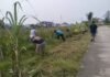 Apresiasi Langkah Kreatif Kelurahan Karyajaya, Lurah Deo Ledy Vera: Gotong Royong Adalah Budaya Kita