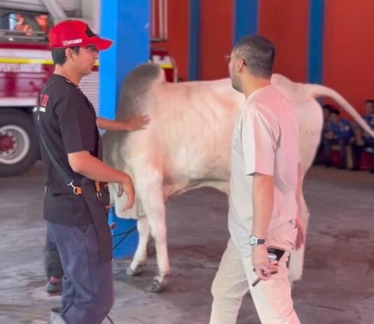 Rayakan Idul Adha 1447 H, Kemas Haikal Sebut Ibadah Qurban Perkuat Solidaritas Personel Damkar Palembang
