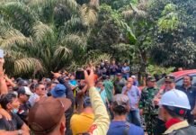 PT TDM Diduga Mobilisasi Ratusan Massa untuk Halangi Aksi Damai Terkait Pencemaran Lingkungan, POSE RI Bakal Tempuh Jalur Hukum