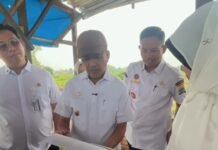 Dari Teratai hingga Sedapat, Yudha Fardyansah Pastikan Sungai di Sukarami Ditangani Serius
